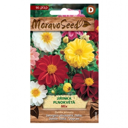 Osivo letniček - Jiřina plnokvětá směs (MS)