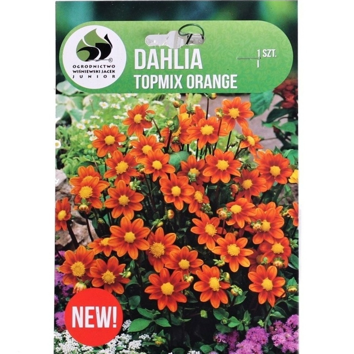 Jiřiny - Jiřina Topmix Orange 1ks