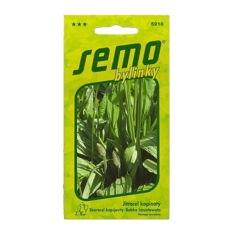 Osivo bylinek - Jitrocel kopinatý
