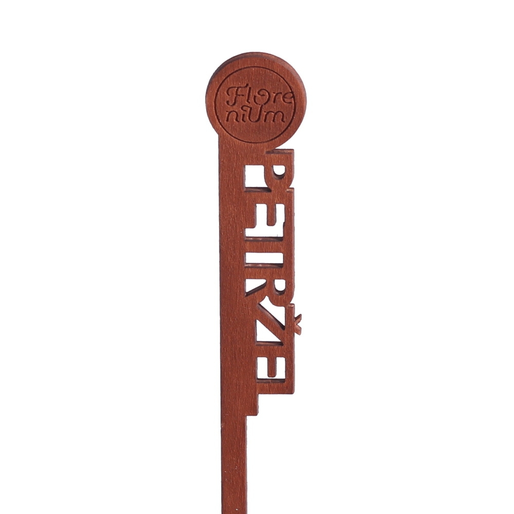 Předpěstování - Jmenovka dřevěný zápich PETRŽEL hnědý 22cm