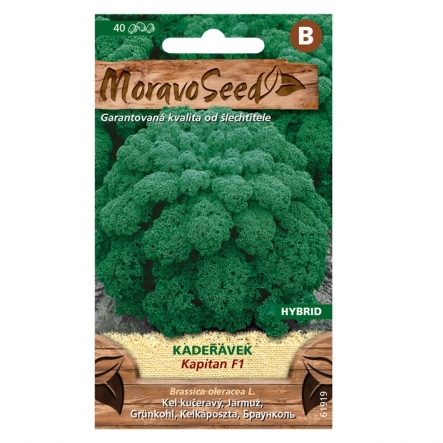 Osivo zeleniny - Kadeřávek zelený KAPITAN F1 (MS)