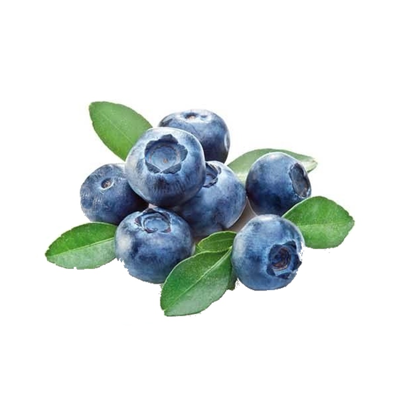 Kanadská borůvka 'Bluegold' květináč 5 litrů, výška 30/50cm, keř, částečně samosprašná-0