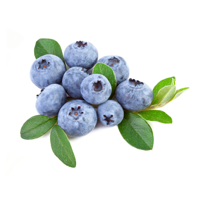 Borůvky a brusinky - Kanadská borůvka 'Coville' květináč 20 litrů, částečně samosprašná