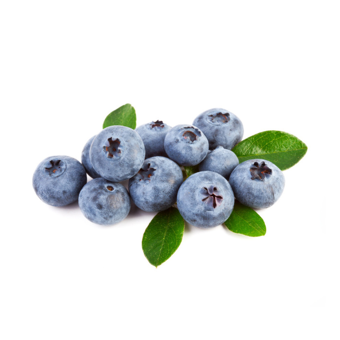 Borůvky a brusinky - Kanadská borůvka 'Denise Blue' květináč 2,5 litru, částečně samosprašná