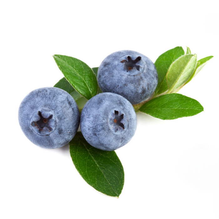 Borůvky a brusinky - Kanadská borůvka 'Record'  květináč 2,5 litru, částečně samosprašná