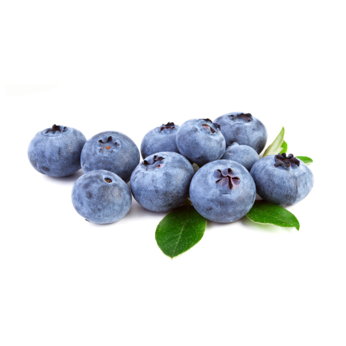 Borůvky a brusinky - Kanadská borůvka 'Zückertraube'  květináč 2,5 litru, částečně samosprašná