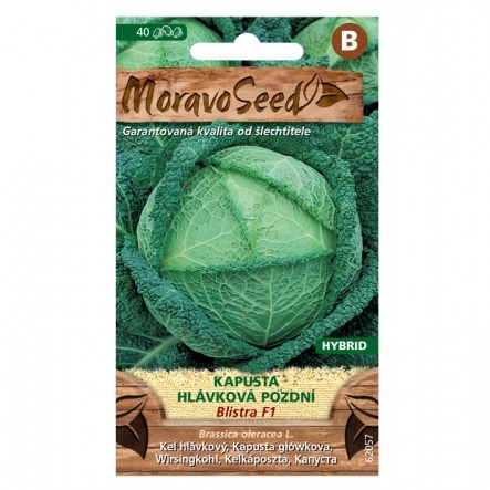 Osivo zeleniny - Kapusta hlávková BLISTRA F1 pozdní (MS)