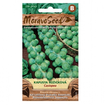 Osivo zeleniny - Kapusta růžičková CASIOPEA (MS)