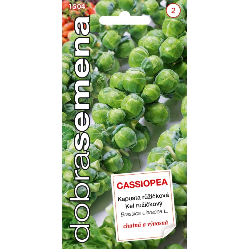 Osivo zeleniny - Kapusta růžičková CASSIOPEA (DS)