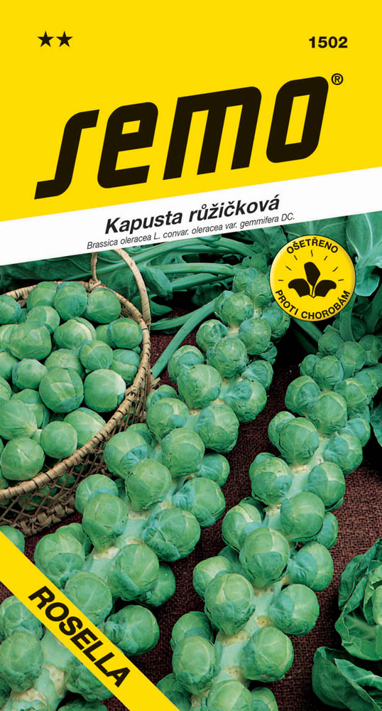 Osivo zeleniny - Kapusta růžičková ROSELLA/Groninger