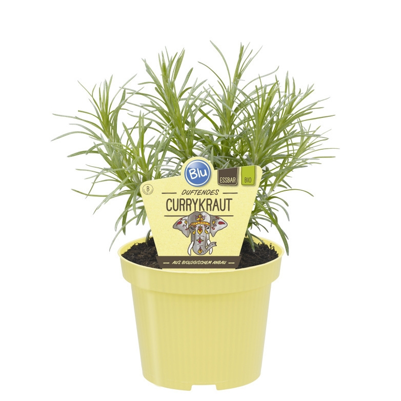 Bylinky - Kari BIO květináč 12cm