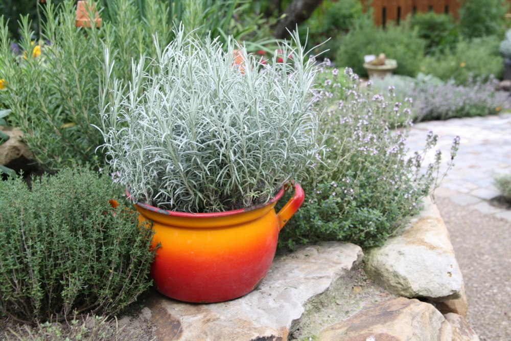 Kari BIO květináč 12cm-3