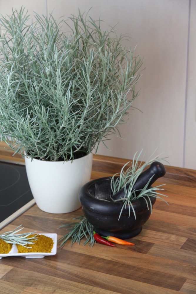 Kari BIO květináč 12cm-4