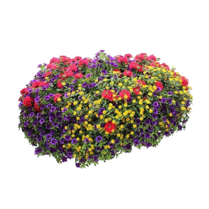 Květinové truhlíky - Karneval barev Lechuza Stone