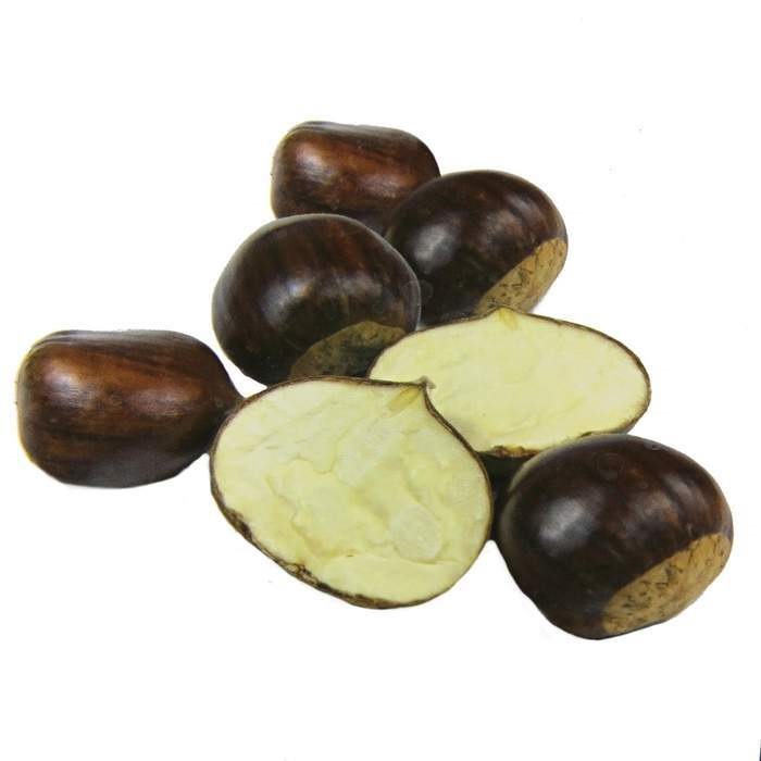 Listnaté stromky a stromy - Kaštanovník setý květináč 6 litrů, čtvrtkmen, CIZOSPRAŠNÝ