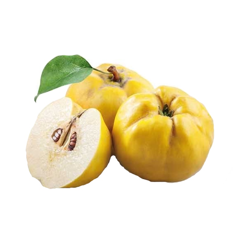 Kdouloň 'Leskovacka' květináč 7,5 litru, kmínek 80cm, stromek, SAMOSPRAŠNÁ-0