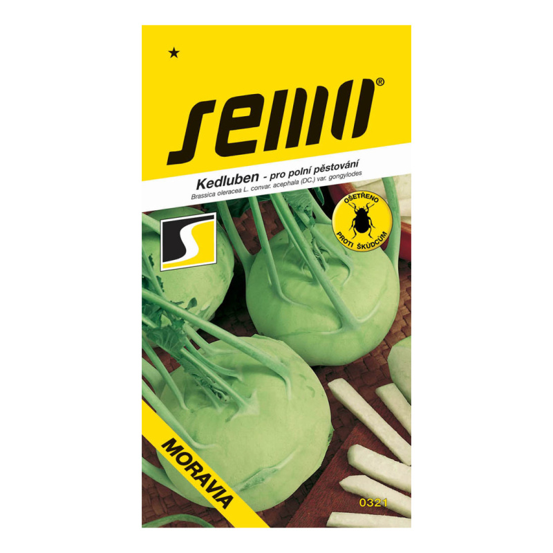 Osivo zeleniny - Kedluben bílý Moravia raný polní