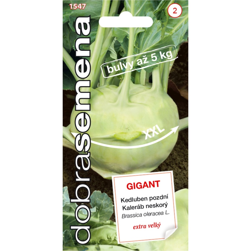 Osivo zeleniny - Kedluben GIGANT (DS)