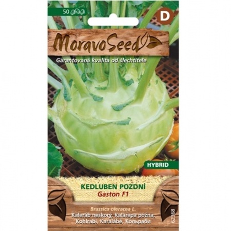 Osivo zeleniny - Kedluben pozdní bílý GASTON F1 (MS)