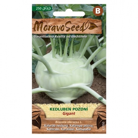 Osivo zeleniny - Kedluben pozdní bílý GIGANT (MS)