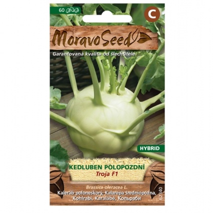 Osivo zeleniny - Kedluben pozdní bílý TROJA F1 (MS)