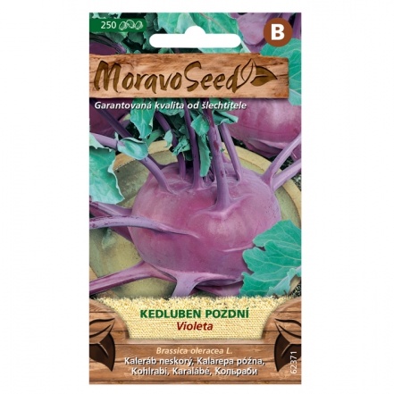 Osivo zeleniny - Kedluben pozdní modrý Violeta (MS)