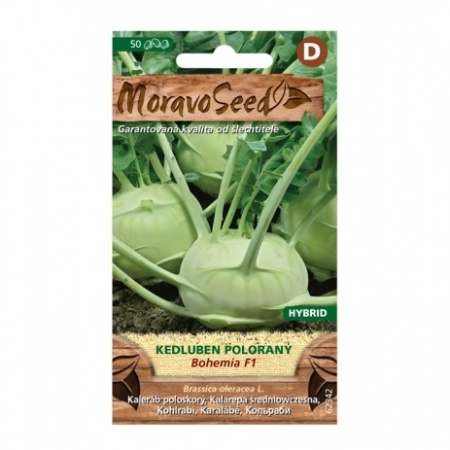 Osivo zeleniny - Kedluben raný bílý BOHEMIA F1 (MS)