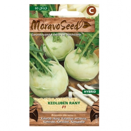 Osivo zeleniny - Kedluben raný bílý KORFU F1 (MS)
