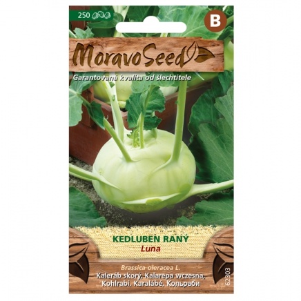 Osivo zeleniny - Kedluben raný bílý LUNA (MS)
