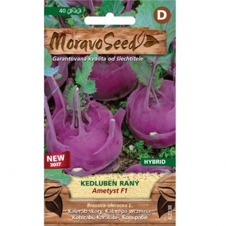 Osivo zeleniny - Kedluben raný modrý AMETYST F1 (MS)