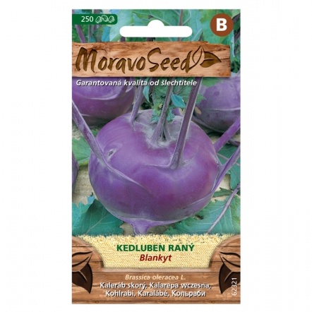 Osivo zeleniny - Kedluben raný modrý BLANKYT (MS)