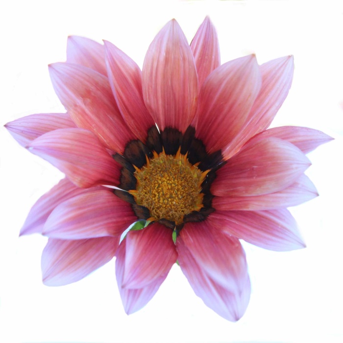 Klasika v trendy barvách-1