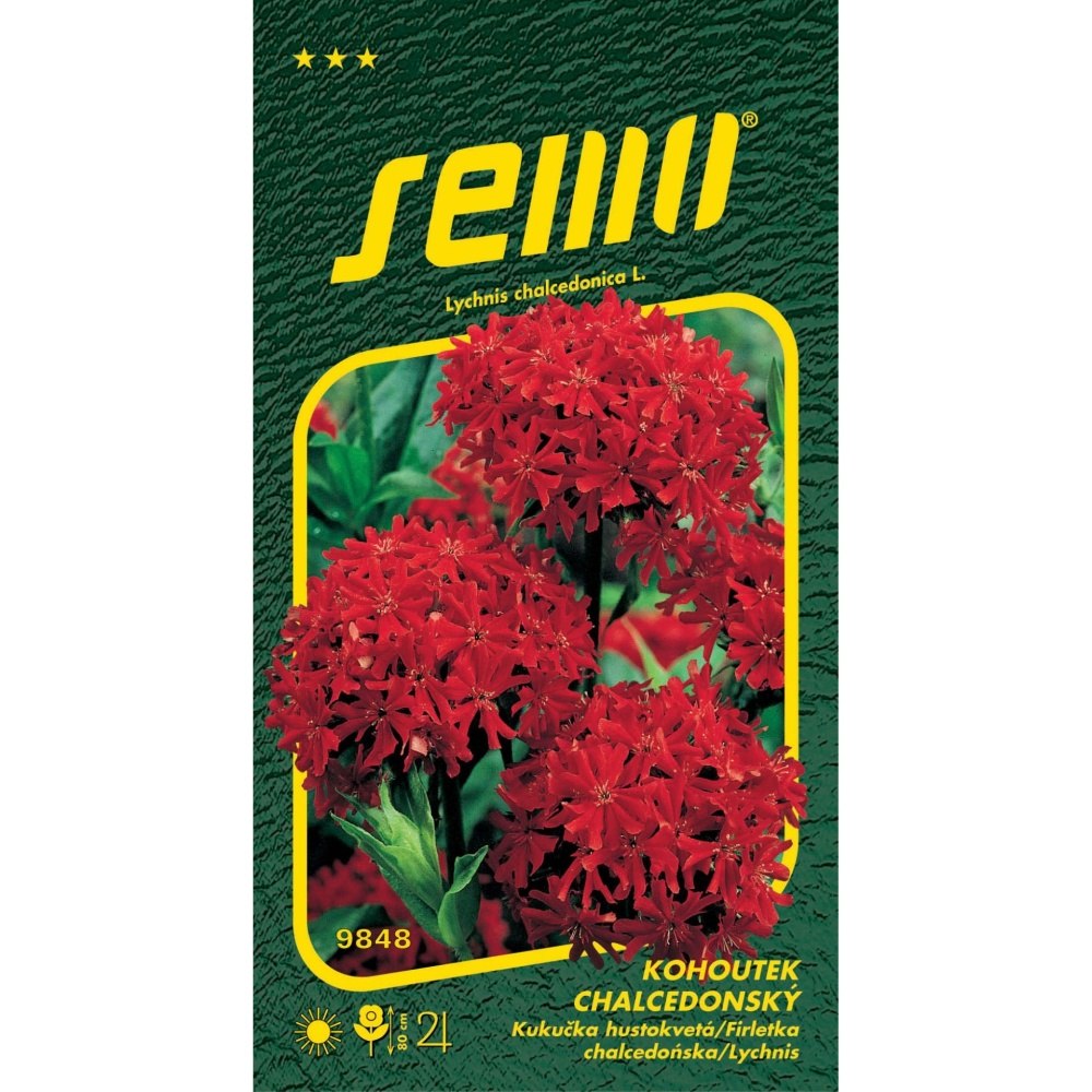 Osivo trvalek - Kohoutek chalcedonský červený