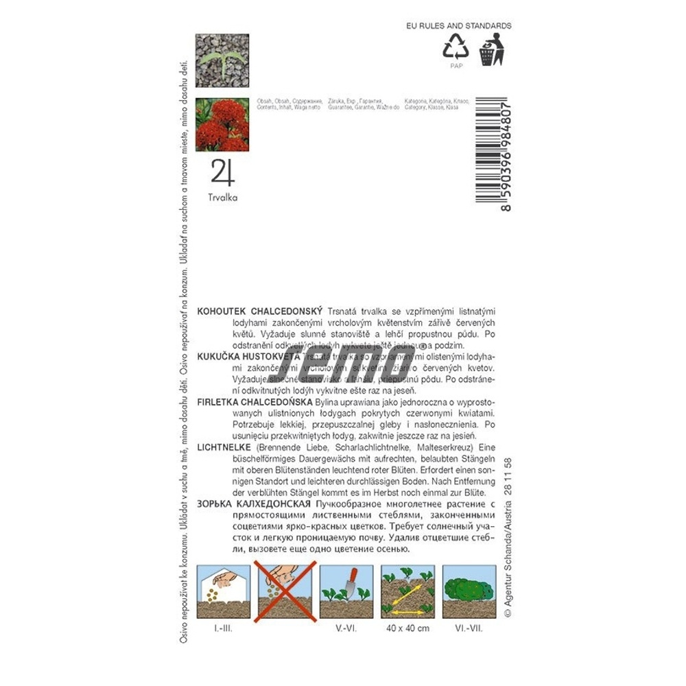 Kohoutek chalcedonský červený-0