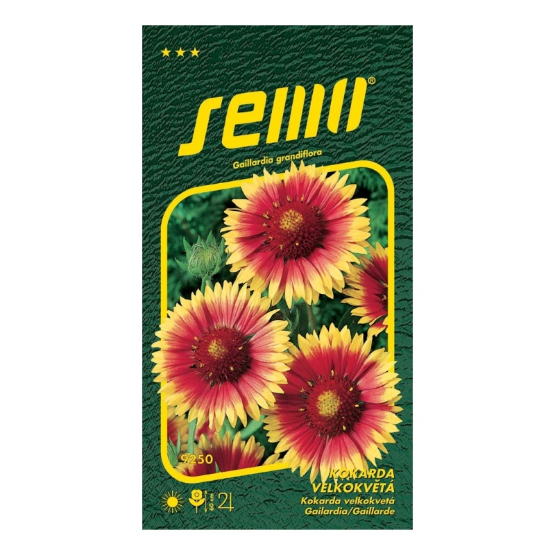 Osivo trvalek - Kokarda spanilá žlutohnědá