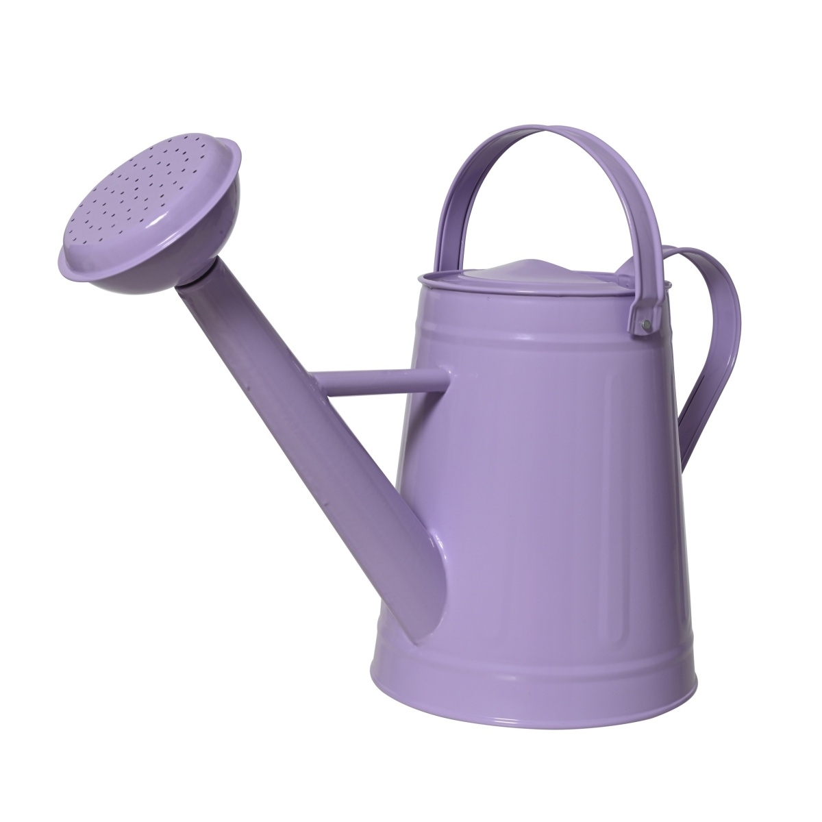 Konve a nádoby na vodu - Konev s kropítkem pozinková 4,5 litru