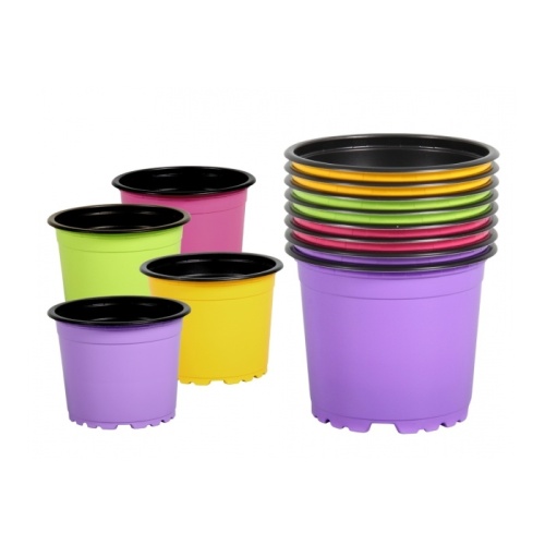 Předpěstování - Kontejner pěstební COLOR/BLACK 8ks plast