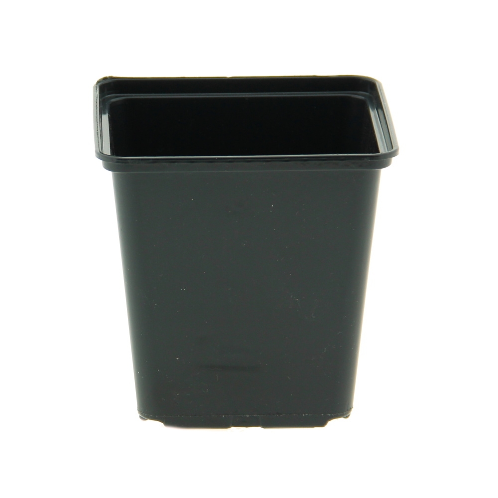 Předpěstování - Kontejner pěstební EX plastový černá 13x13cm