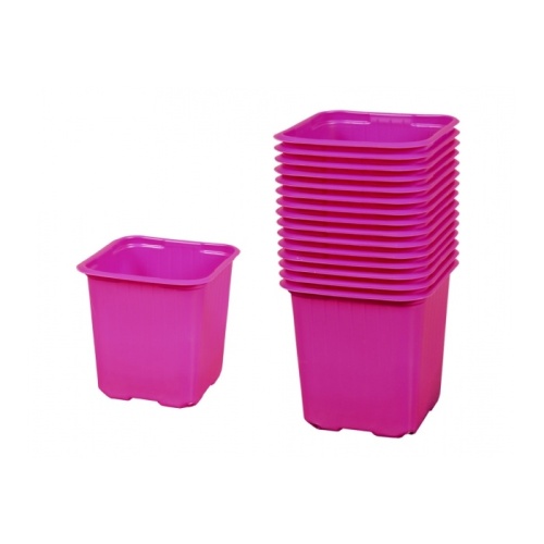 Předpěstování - Kontejner pěstební PINK 8x8x8cm 15ks plast