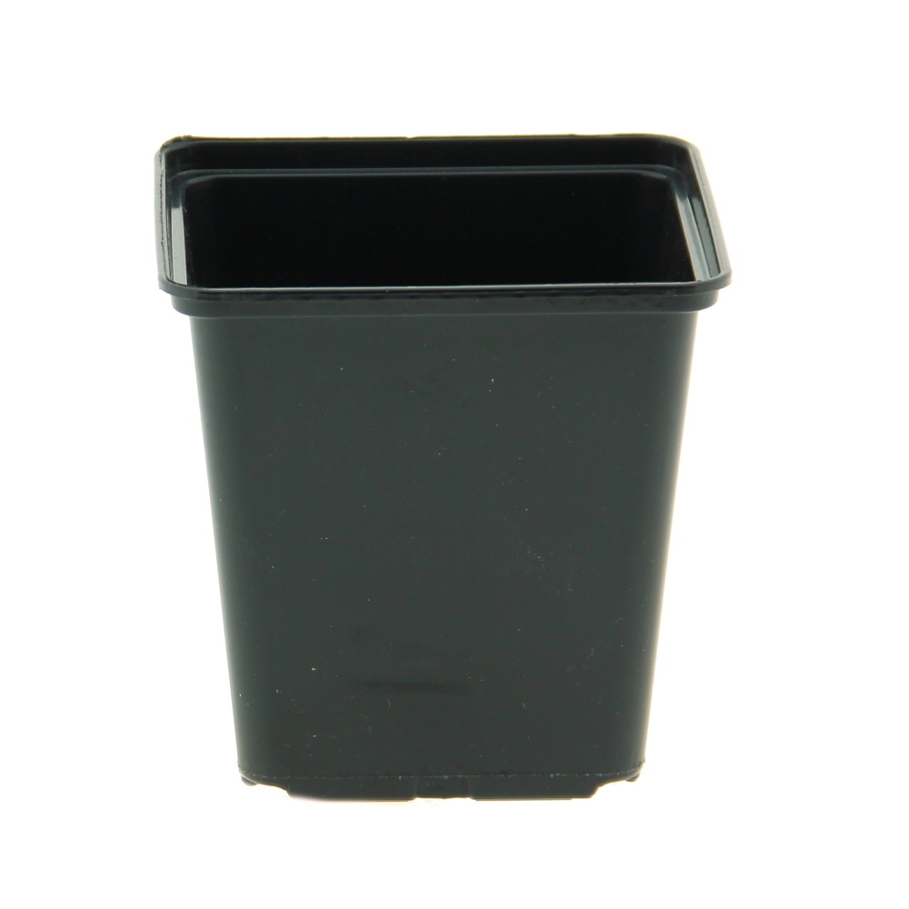 Předpěstování - Kontejner pěstební plastový černá 7x7cm