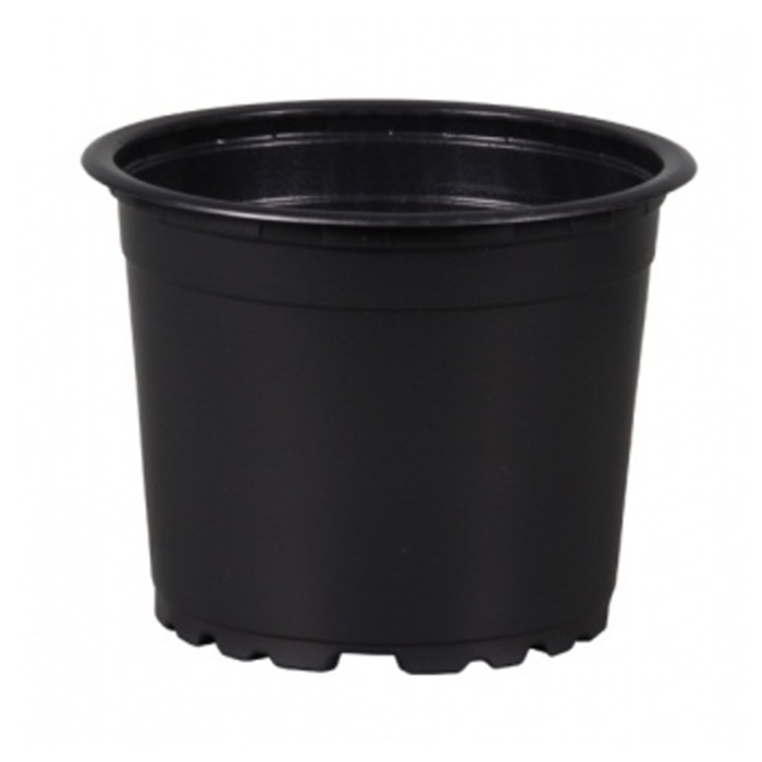 Předpěstování - Kontejner pěstební plastový černý DESCH 12cm