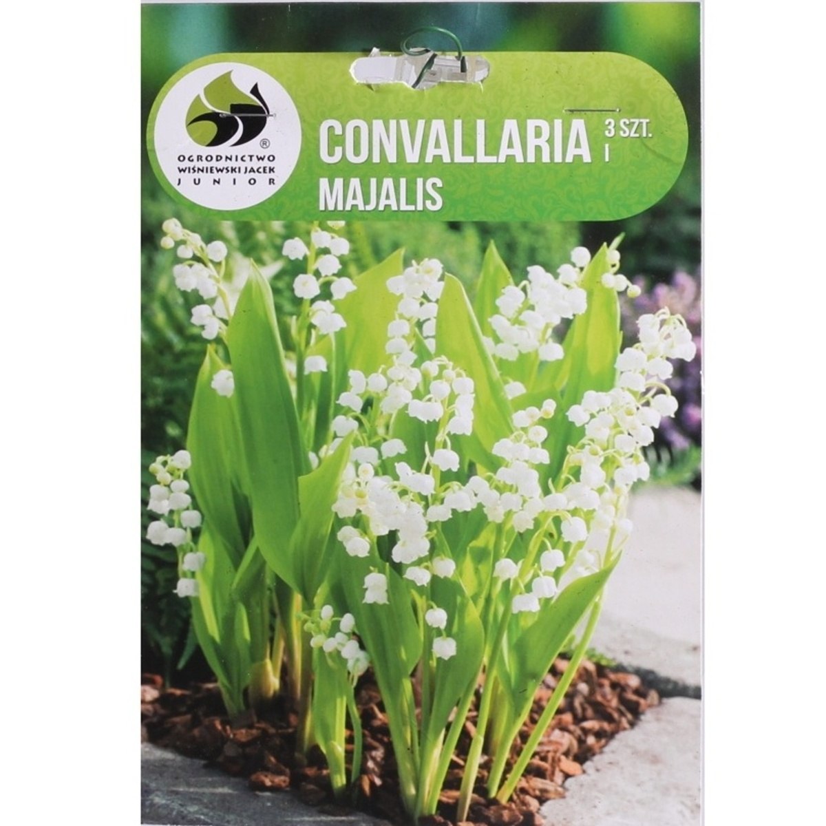 Ostatní jarní cibuloviny - Konvalinka vonná 3ks