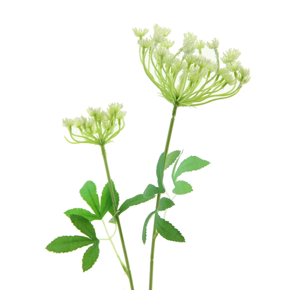 Celoroční umělé květiny - Kopr CHICO řezaný umělý se 2 květy krémový 79cm