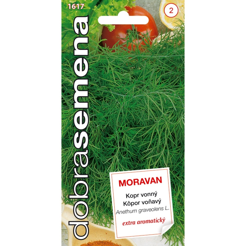 Osivo zeleniny - Kopr MORAVAN (DS)