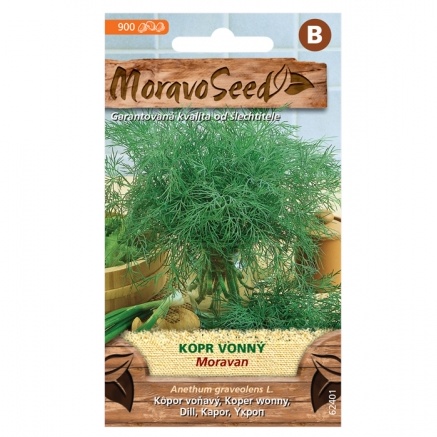 Osivo zeleniny - Kopr MORAVAN (MS)