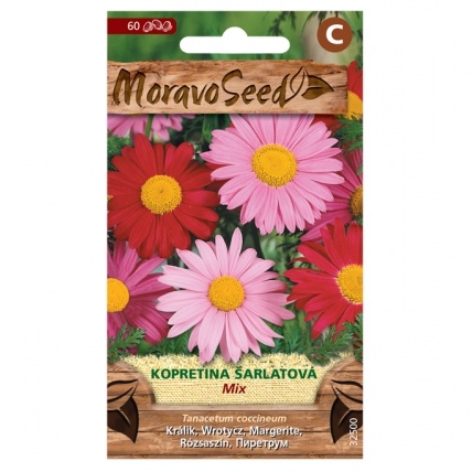 Osivo trvalek - Kopretina šarlatová (MS)