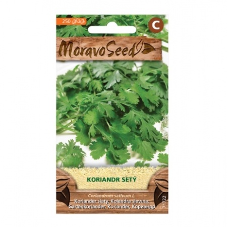 Osivo bylinek - Koriandr setý (MS)