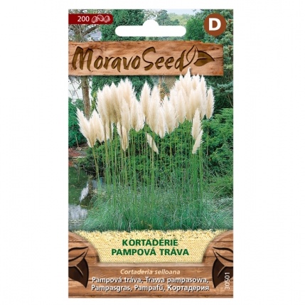 Osivo trvalek - Kortaderie - pampova tráva bílá (MS)