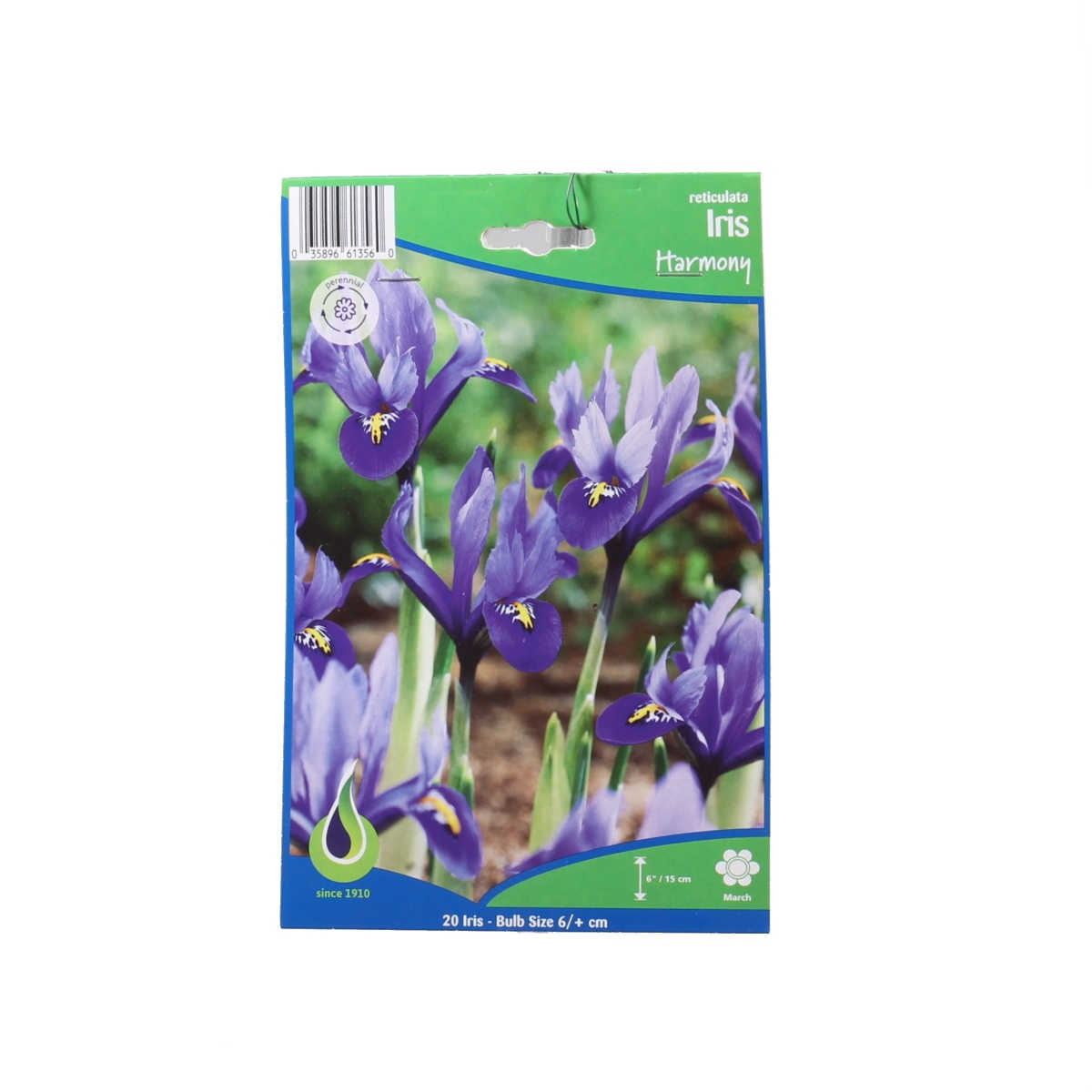 Kosatce - Kosatec Harmony 20ks