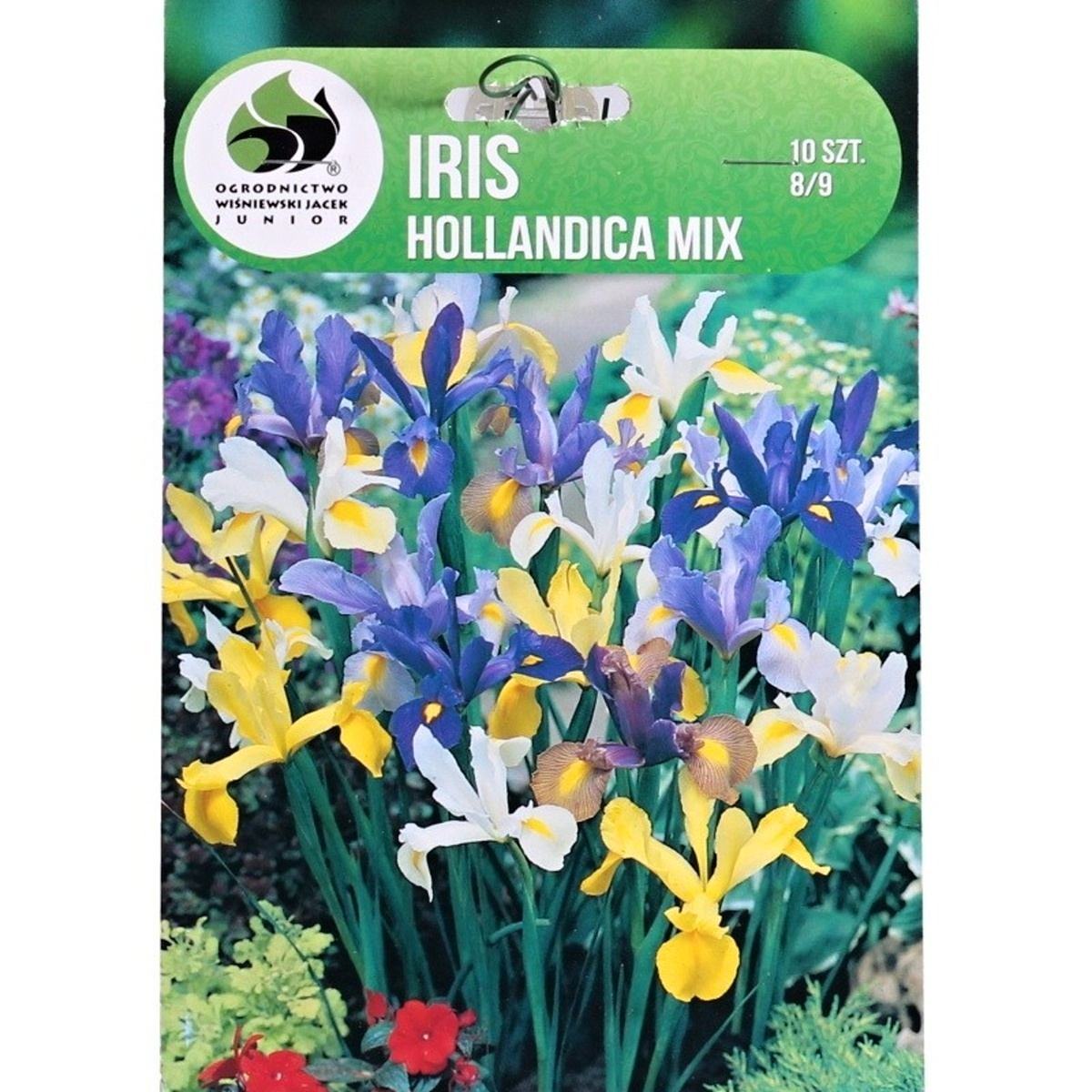 Kosatce - Kosatec holandský mix 10ks